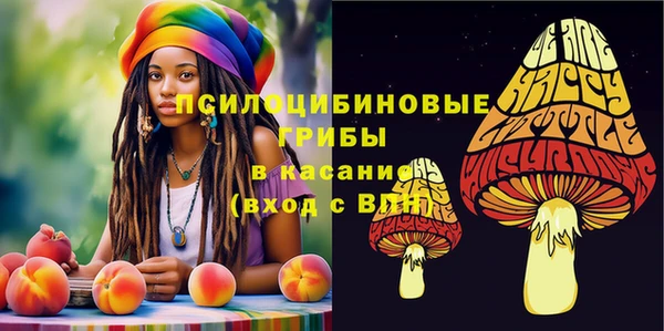 2c-b Богородск