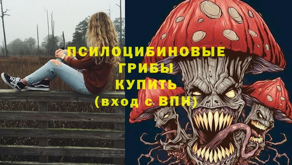 2c-b Богородск